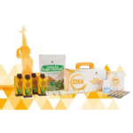 DX4 BODY BALANCING SYSTEM